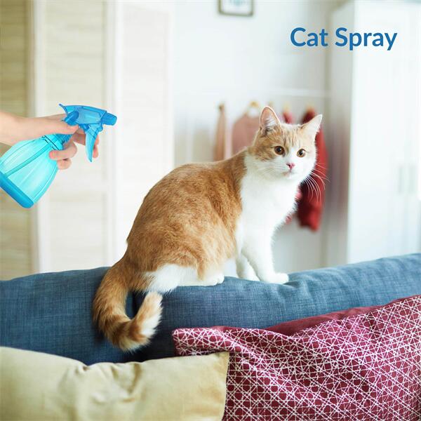 Do Spray Bottles Work to Train Cats?