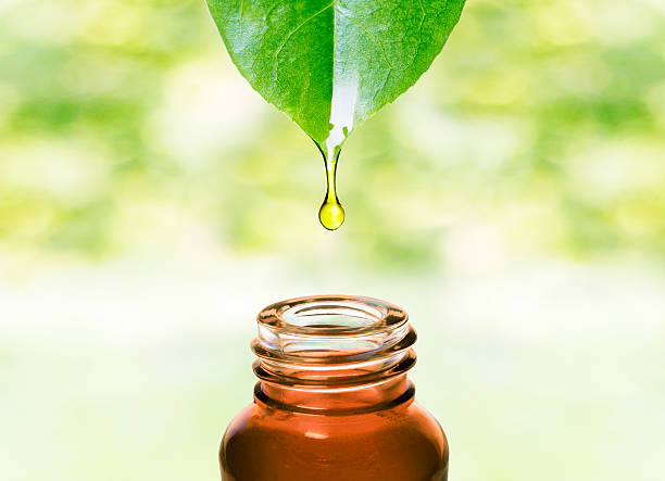 Essential Oil Bottles